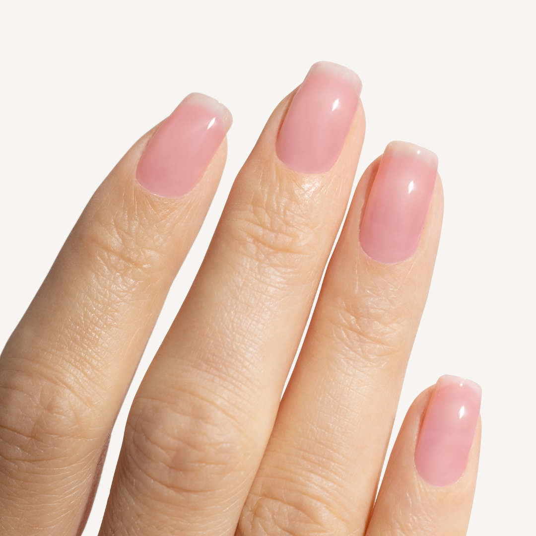 the remedy sheer rose