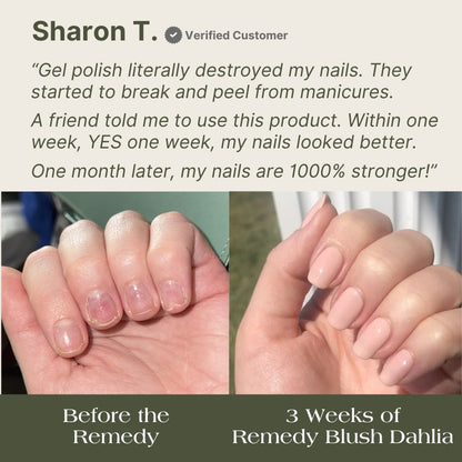 the remedy blush dahlia