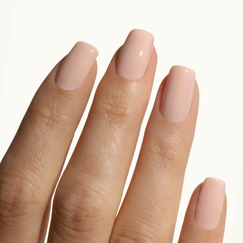 the remedy blush dahlia