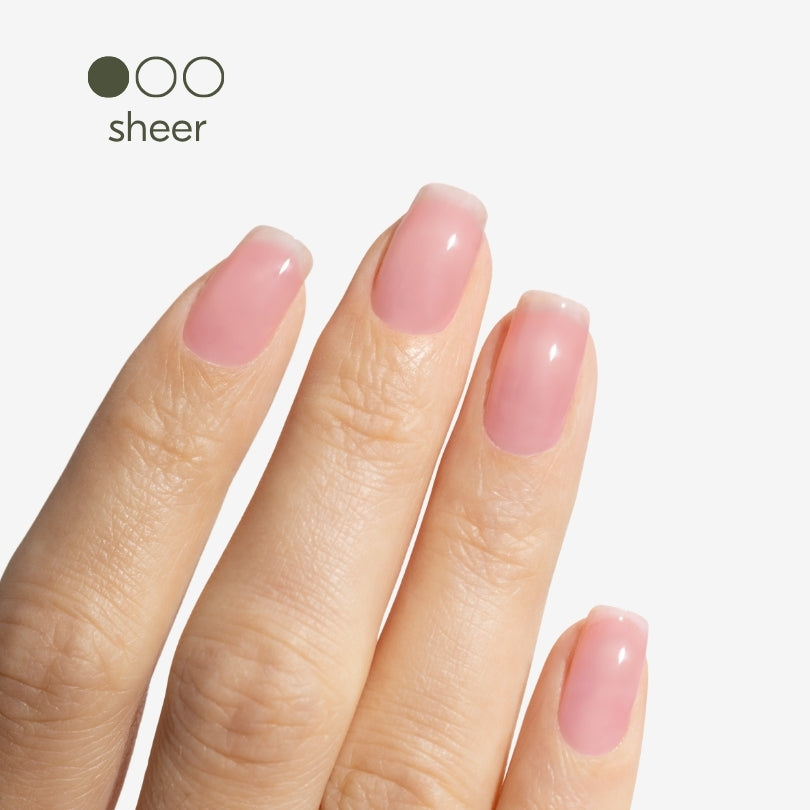 the remedy sheer rose